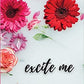 Excite Me